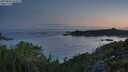 ./images/calvert/foggy-cove/20250803/foggy-cove20250803_053008M.jpg