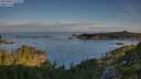 ./images/calvert/foggy-cove/20250803/foggy-cove20250803_072010M.jpg