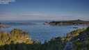 ./images/calvert/foggy-cove/20250803/foggy-cove20250803_074510M.jpg