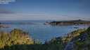 ./images/calvert/foggy-cove/20250803/foggy-cove20250803_075509M.jpg