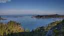 ./images/calvert/foggy-cove/20250803/foggy-cove20250803_080508M.jpg