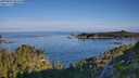 ./images/calvert/foggy-cove/20250803/foggy-cove20250803_081011M.jpg