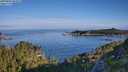 ./images/calvert/foggy-cove/20250803/foggy-cove20250803_082010M.jpg