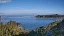 ./images/calvert/foggy-cove/20250803/foggy-cove20250803_083008M.jpg