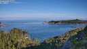 ./images/calvert/foggy-cove/20250803/foggy-cove20250803_083508M.jpg