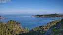 ./images/calvert/foggy-cove/20250803/foggy-cove20250803_084009M.jpg