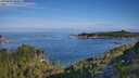 ./images/calvert/foggy-cove/20250803/foggy-cove20250803_085009M.jpg