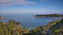 ./images/calvert/foggy-cove/20250803/foggy-cove20250803_090011M.jpg