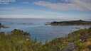 ./images/calvert/foggy-cove/20250803/foggy-cove20250803_092509M.jpg