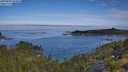 ./images/calvert/foggy-cove/20250803/foggy-cove20250803_094010M.jpg