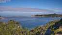 ./images/calvert/foggy-cove/20250803/foggy-cove20250803_100011M.jpg
