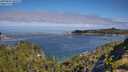 ./images/calvert/foggy-cove/20250803/foggy-cove20250803_100510M.jpg