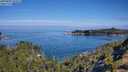 ./images/calvert/foggy-cove/20250803/foggy-cove20250803_102010M.jpg
