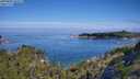./images/calvert/foggy-cove/20250803/foggy-cove20250803_102509M.jpg