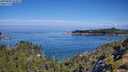./images/calvert/foggy-cove/20250803/foggy-cove20250803_103011M.jpg