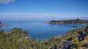 ./images/calvert/foggy-cove/20250803/foggy-cove20250803_103510M.jpg