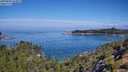 ./images/calvert/foggy-cove/20250803/foggy-cove20250803_104009M.jpg