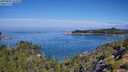 ./images/calvert/foggy-cove/20250803/foggy-cove20250803_104510M.jpg