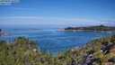 ./images/calvert/foggy-cove/20250803/foggy-cove20250803_105009M.jpg