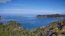 ./images/calvert/foggy-cove/20250803/foggy-cove20250803_105510M.jpg