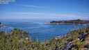 ./images/calvert/foggy-cove/20250803/foggy-cove20250803_110011M.jpg