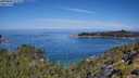 ./images/calvert/foggy-cove/20250803/foggy-cove20250803_111010M.jpg