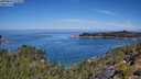 ./images/calvert/foggy-cove/20250803/foggy-cove20250803_112010M.jpg