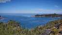 ./images/calvert/foggy-cove/20250803/foggy-cove20250803_113011M.jpg