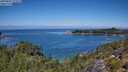 ./images/calvert/foggy-cove/20250803/foggy-cove20250803_122009M.jpg