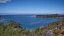 ./images/calvert/foggy-cove/20250803/foggy-cove20250803_123011M.jpg