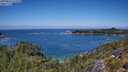 ./images/calvert/foggy-cove/20250803/foggy-cove20250803_124510M.jpg