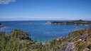 ./images/calvert/foggy-cove/20250803/foggy-cove20250803_130011M.jpg