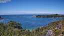 ./images/calvert/foggy-cove/20250803/foggy-cove20250803_134509M.jpg