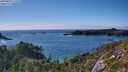 ./images/calvert/foggy-cove/20250803/foggy-cove20250803_172510M.jpg