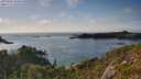 ./images/calvert/foggy-cove/20250803/foggy-cove20250803_182010M.jpg