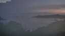 ./images/calvert/foggy-cove/20250804/foggy-cove20250804_053010M.jpg