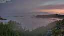 ./images/calvert/foggy-cove/20250804/foggy-cove20250804_054008M.jpg