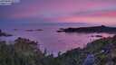 ./images/calvert/foggy-cove/20250804/foggy-cove20250804_055008M.jpg