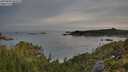 ./images/calvert/foggy-cove/20250804/foggy-cove20250804_065010M.jpg