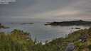 ./images/calvert/foggy-cove/20250804/foggy-cove20250804_070010M.jpg