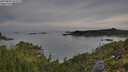 ./images/calvert/foggy-cove/20250804/foggy-cove20250804_071509M.jpg