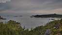 ./images/calvert/foggy-cove/20250804/foggy-cove20250804_072011M.jpg