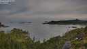 ./images/calvert/foggy-cove/20250804/foggy-cove20250804_073009M.jpg