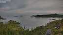 ./images/calvert/foggy-cove/20250804/foggy-cove20250804_073509M.jpg