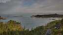 ./images/calvert/foggy-cove/20250804/foggy-cove20250804_075510M.jpg