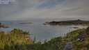 ./images/calvert/foggy-cove/20250804/foggy-cove20250804_080010M.jpg