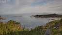 ./images/calvert/foggy-cove/20250804/foggy-cove20250804_080510M.jpg
