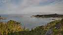 ./images/calvert/foggy-cove/20250804/foggy-cove20250804_081010M.jpg