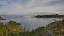 ./images/calvert/foggy-cove/20250804/foggy-cove20250804_081508M.jpg