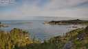 ./images/calvert/foggy-cove/20250804/foggy-cove20250804_082011M.jpg